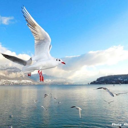 Lake Home Annecy Dış mekan fotoğraf